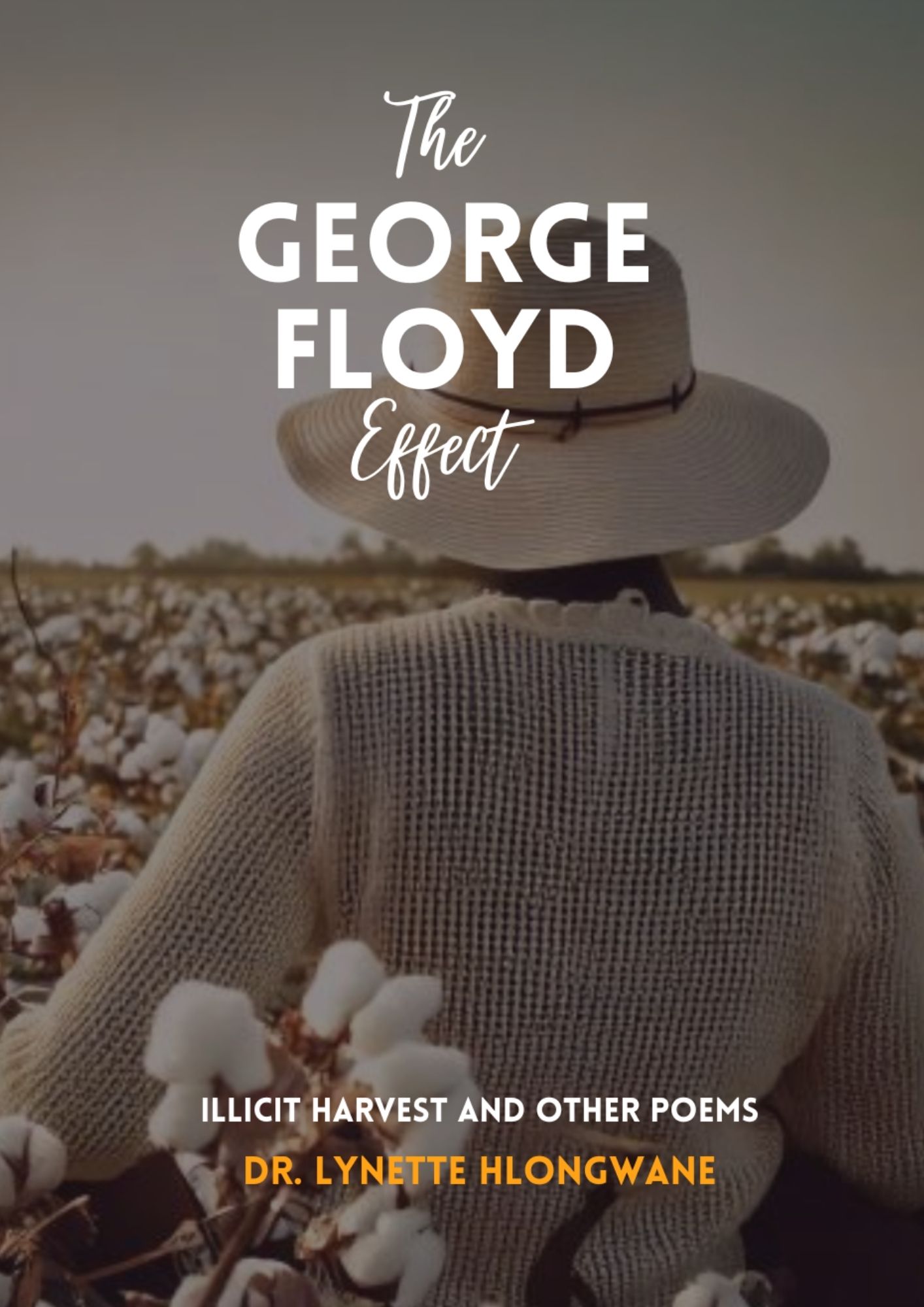 The George Floyd Effect Vol 1