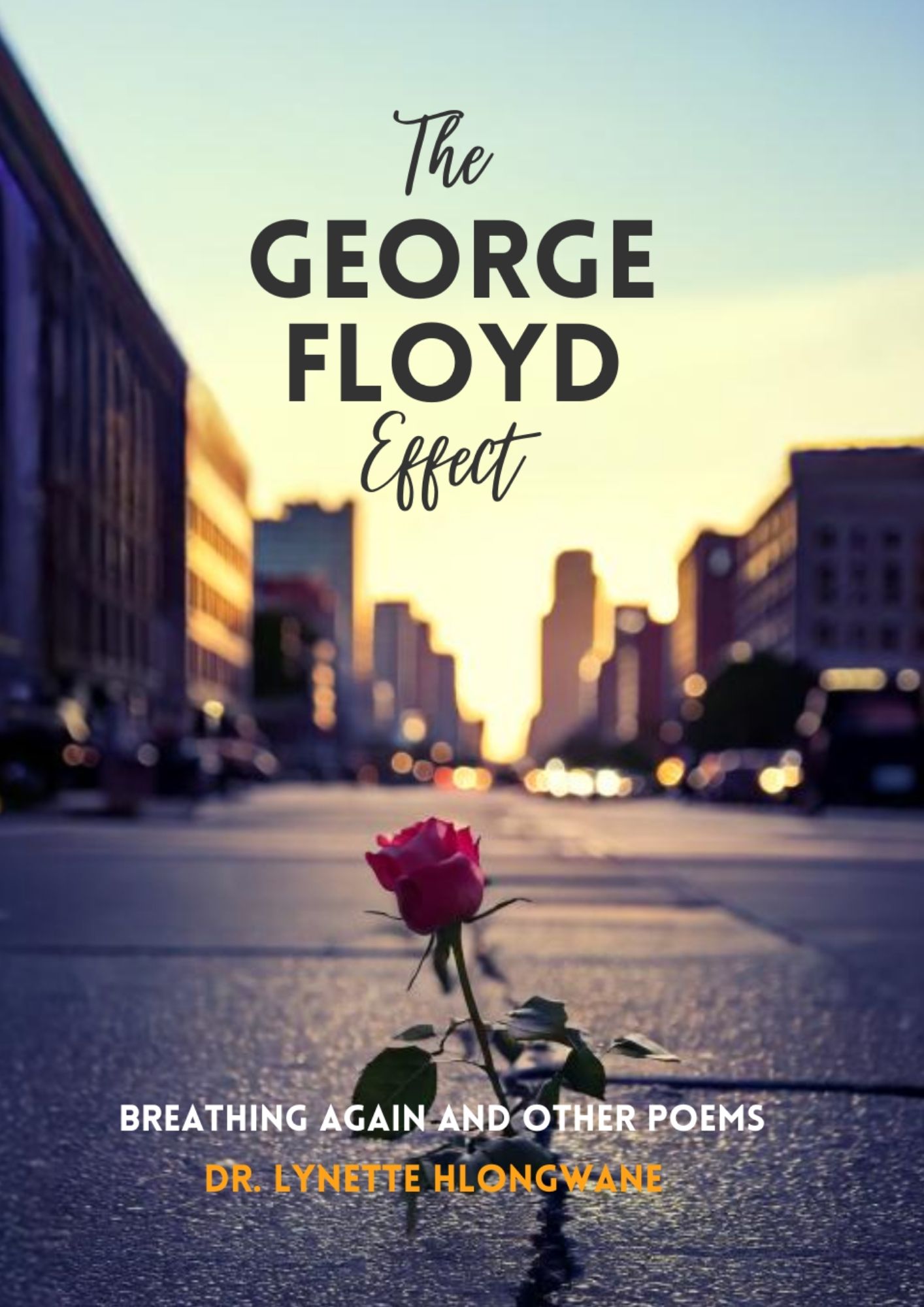 The George Floyd Effect Vol 4